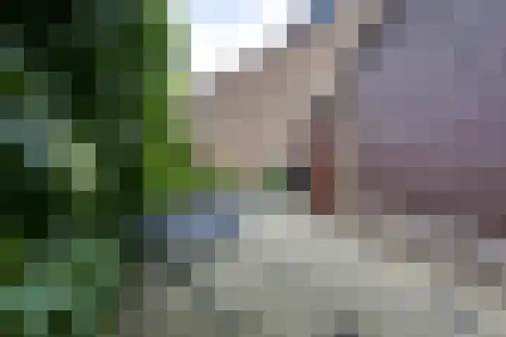 Langeweg 81 Vianen thumbnail 23