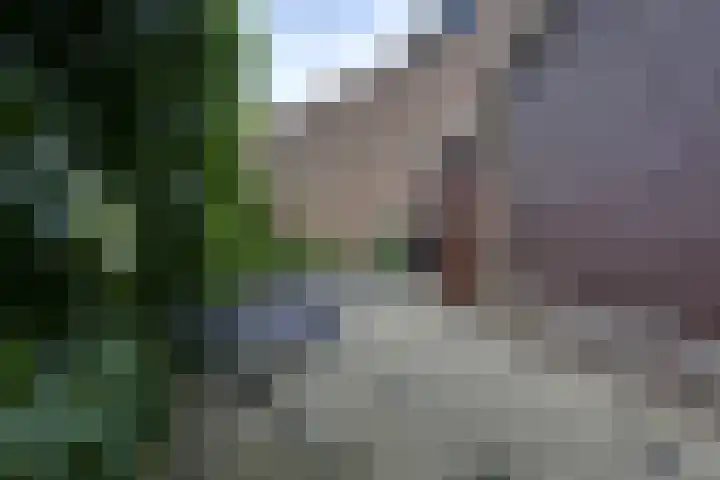Langeweg 81 Vianen thumbnail 24