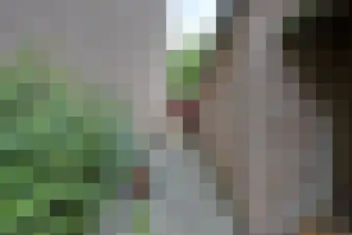 Langeweg 81 Vianen thumbnail 25