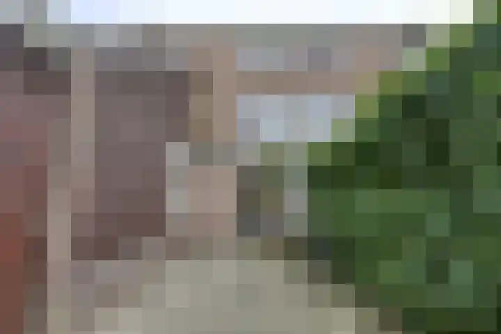 Langeweg 81 Vianen thumbnail 26