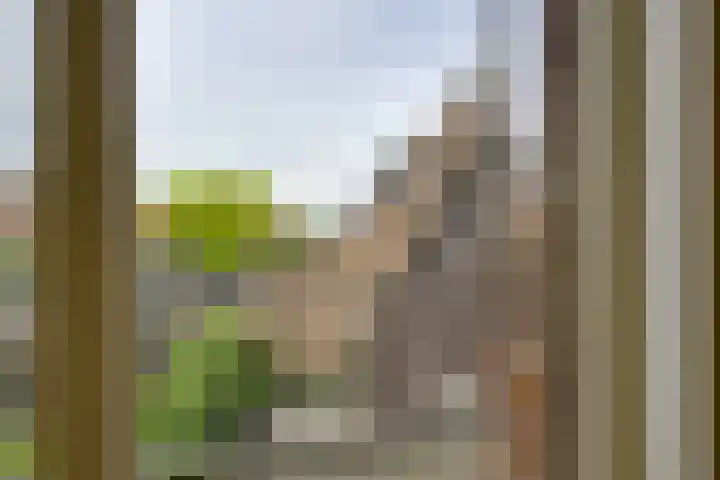 Langeweg 81 Vianen thumbnail 39