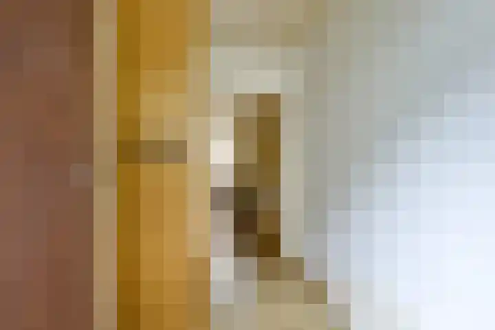 Langeweg 81 Vianen thumbnail 4
