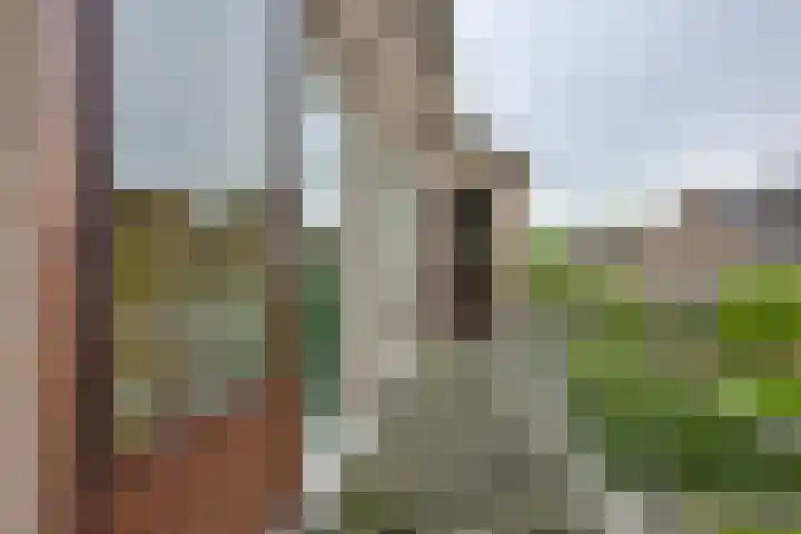 Langeweg 81 Vianen thumbnail 41