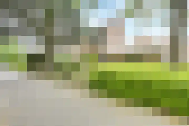 Langeweg 81 Vianen thumbnail 55