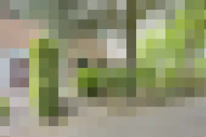 Langeweg 81 Vianen thumbnail 60
