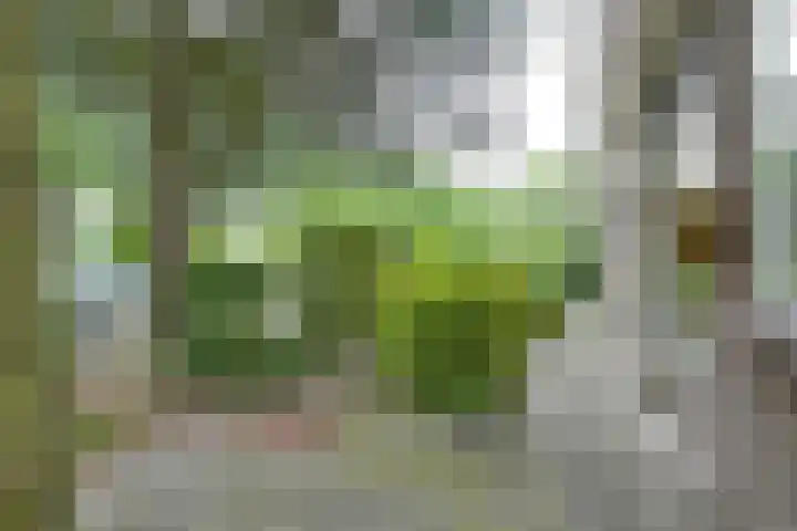 Langeweg 81 Vianen thumbnail 63
