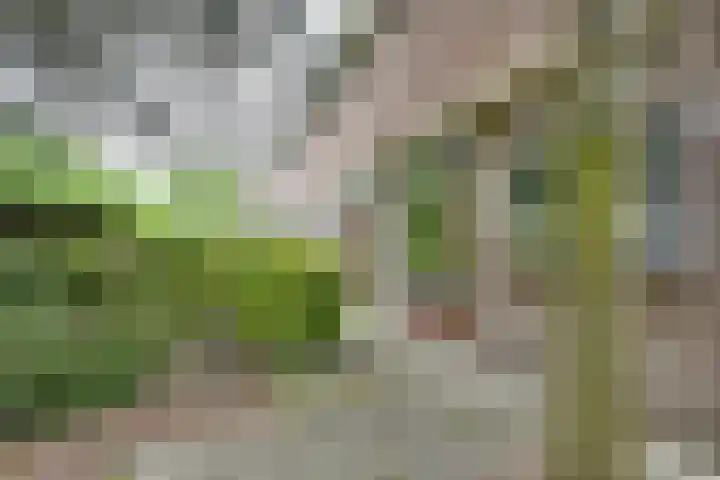 Langeweg 81 Vianen thumbnail 64