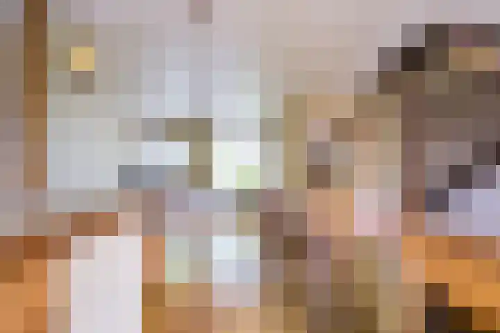 Langeweg 81 Vianen thumbnail 7