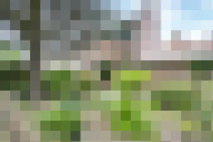 Langeweg 81 Vianen thumbnail 77