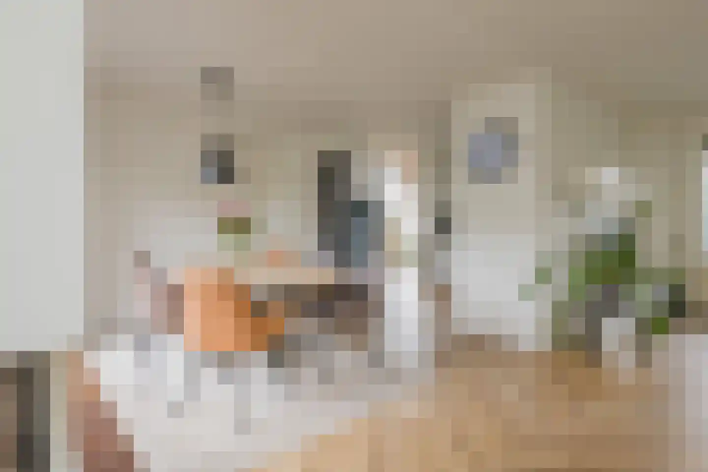 Langeweg 86 Roelofarendsveen thumbnail 17