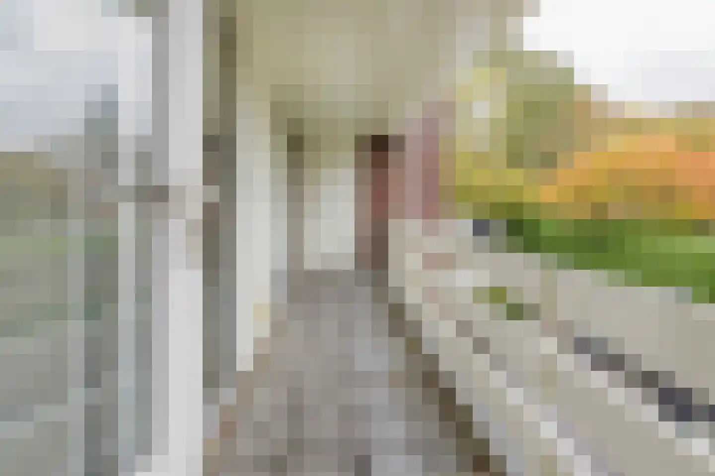 Langeweg 86 Roelofarendsveen thumbnail 42