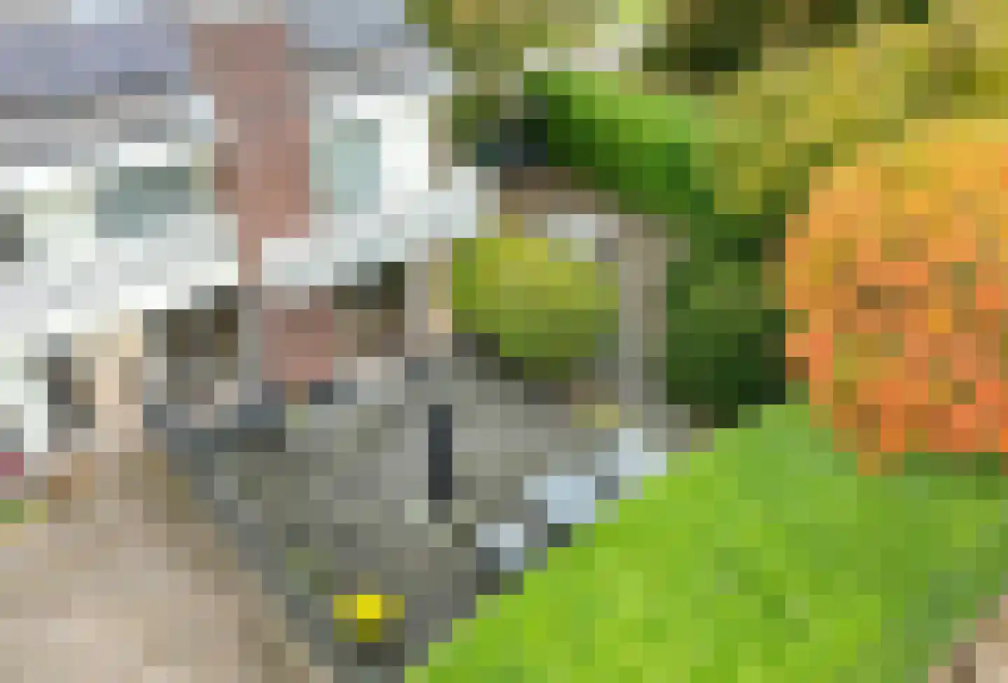 Langeweg 86 Roelofarendsveen thumbnail 58