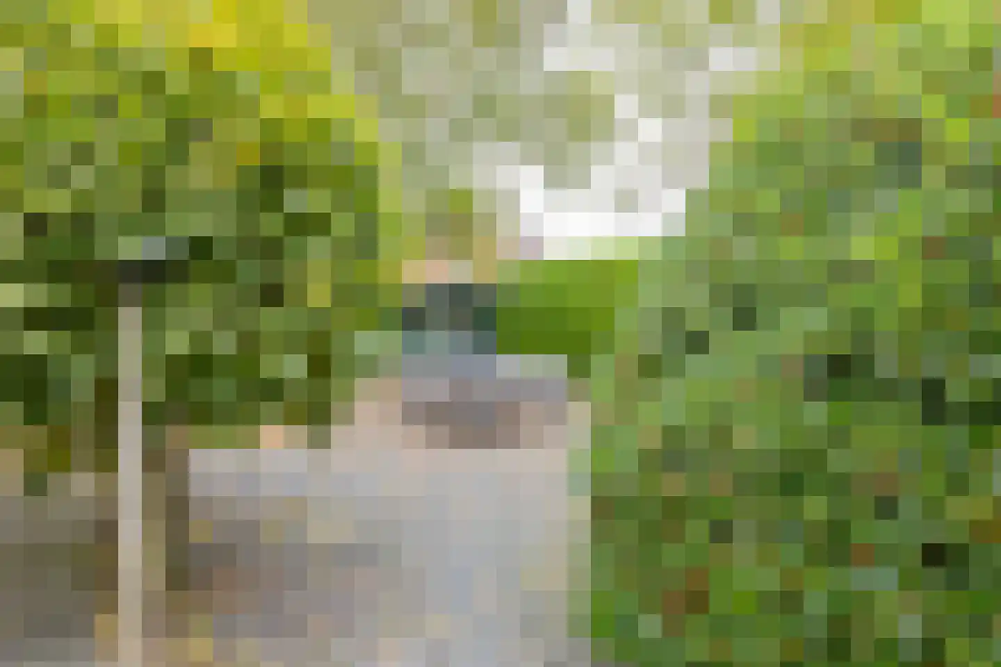 Langeweg 86 Roelofarendsveen thumbnail 60