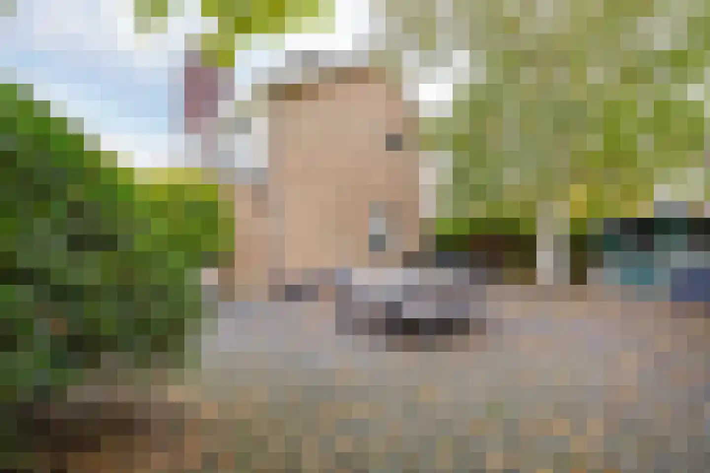 Langeweg 86 Roelofarendsveen thumbnail 62