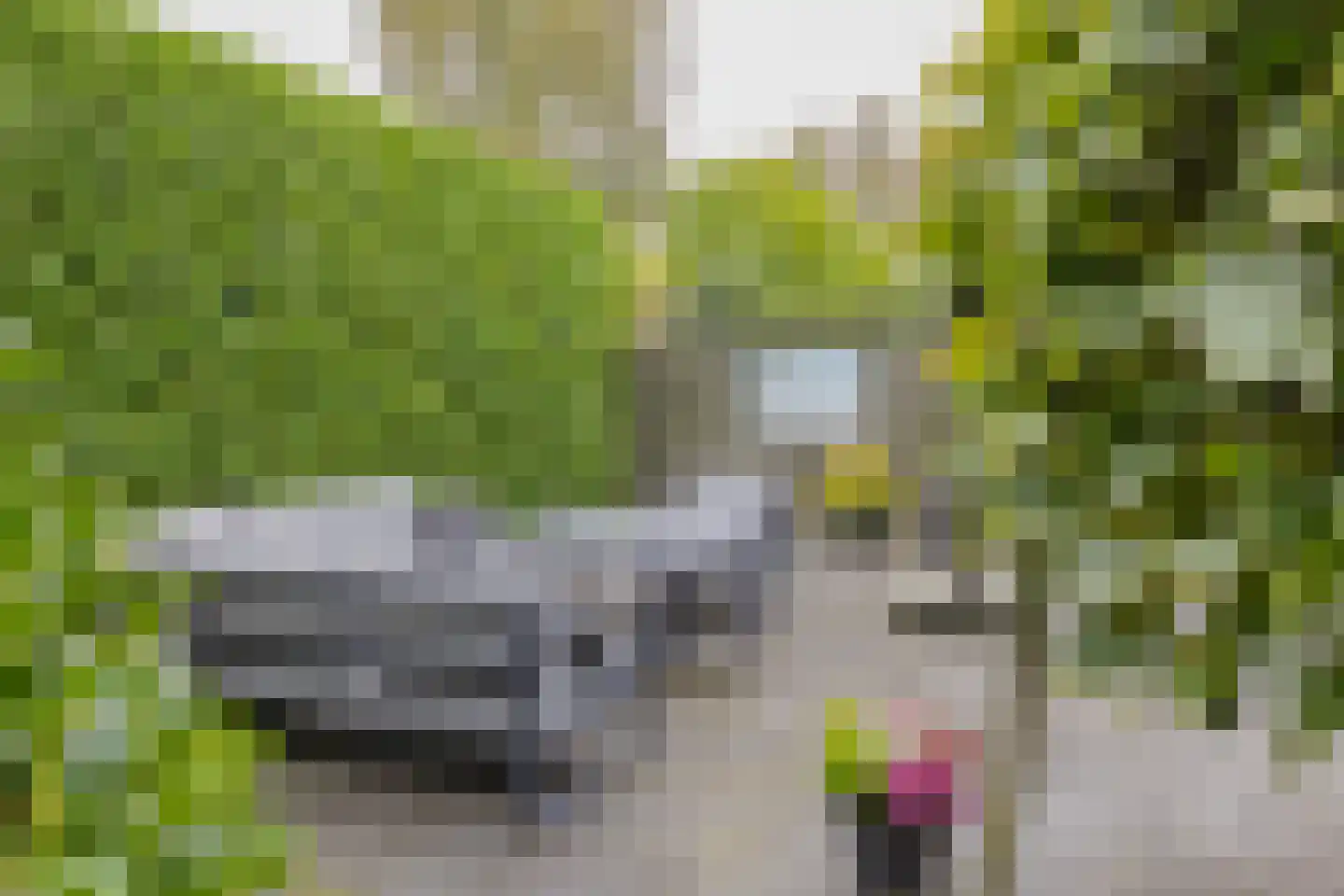 Langeweg 86 Roelofarendsveen thumbnail 63