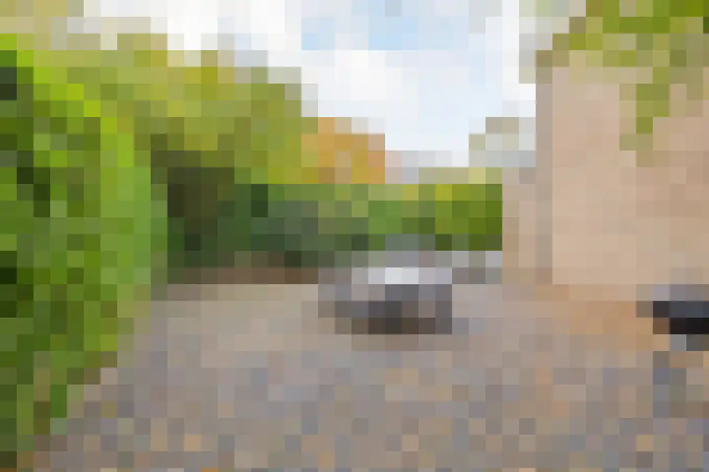Langeweg 86 Roelofarendsveen thumbnail 64