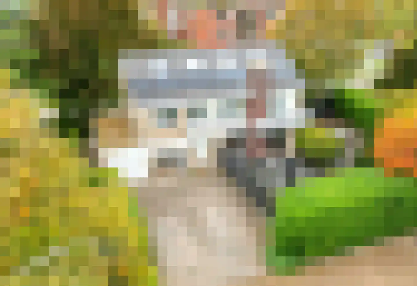 Langeweg 86 Roelofarendsveen thumbnail 65