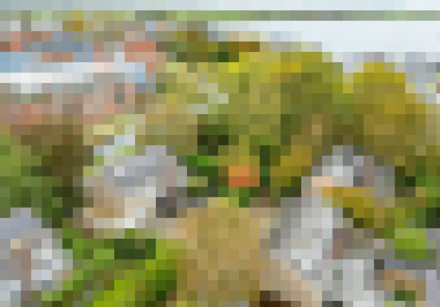 Langeweg 86 Roelofarendsveen thumbnail 66