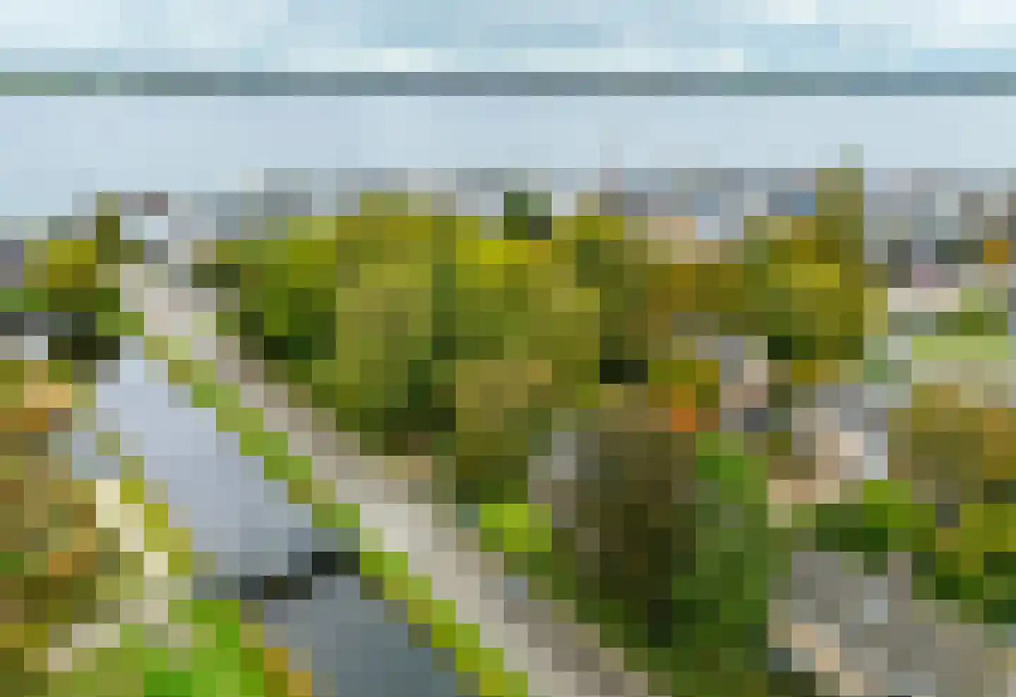 Langeweg 86 Roelofarendsveen thumbnail 75