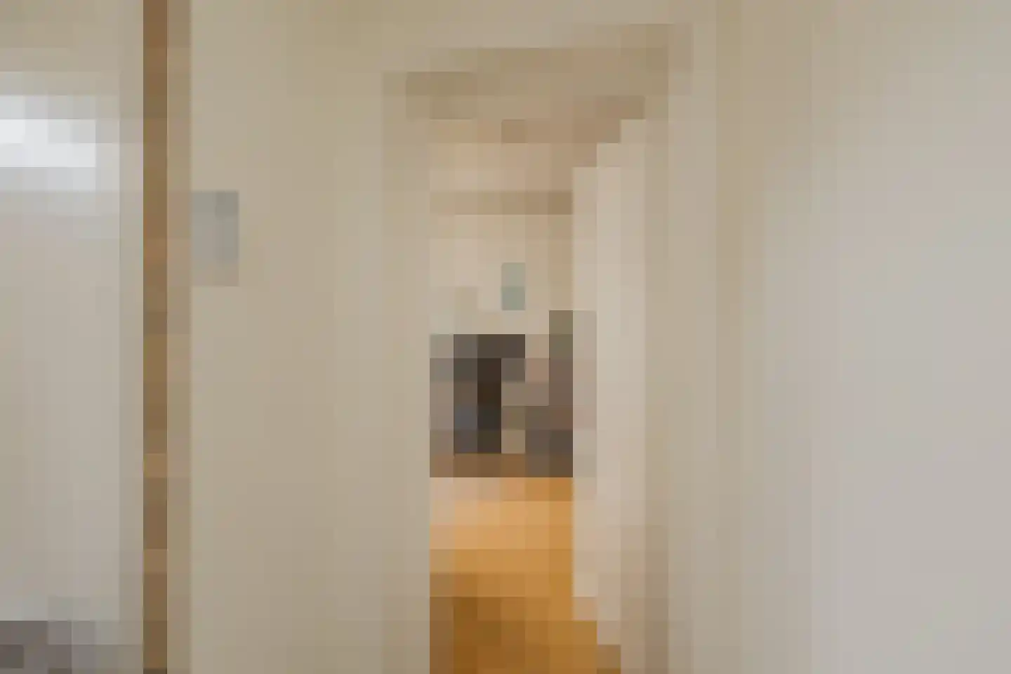 Langeweg 86 Roelofarendsveen thumbnail 9