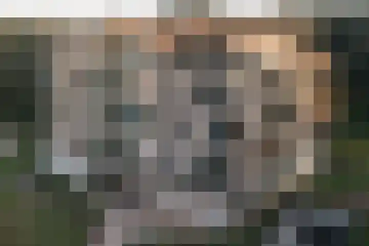 Langeweg 9 De Heen thumbnail 17