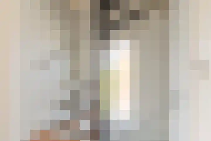 Langeweg 9 De Heen thumbnail 21