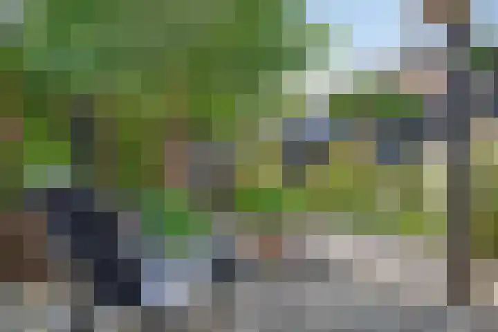 Langeweg 9 De Heen thumbnail 28