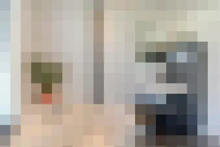 Langeweg 9 De Heen thumbnail 30