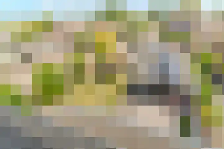 Langeweg 9 De Heen thumbnail 41