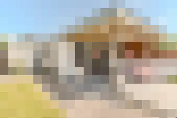Langeweg 9 De Heen thumbnail 45