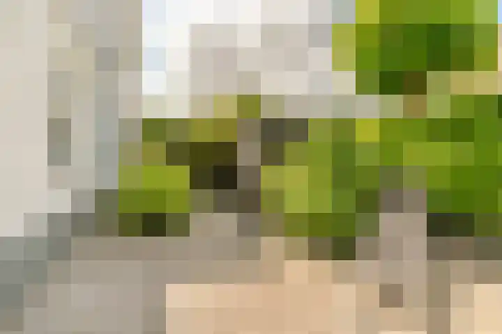 Langeweg 9 De Heen thumbnail 46