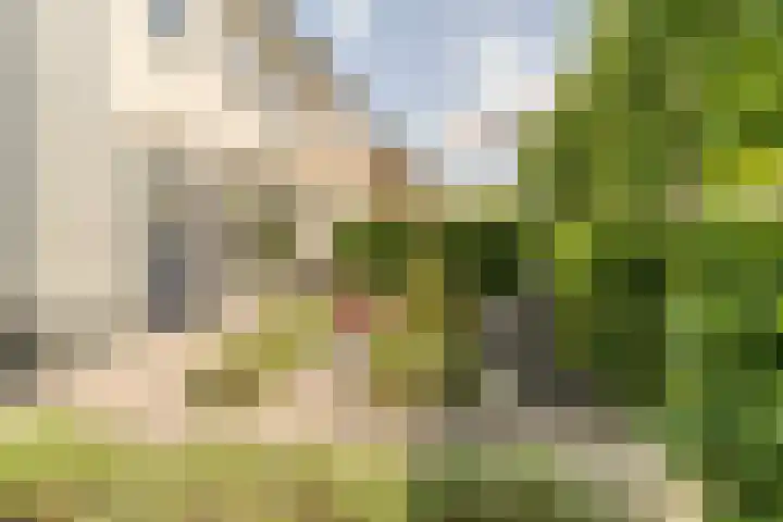 Langeweg 9 De Heen thumbnail 52