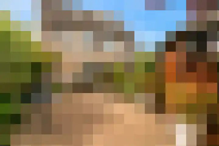 Langeweg 9 De Heen thumbnail 53
