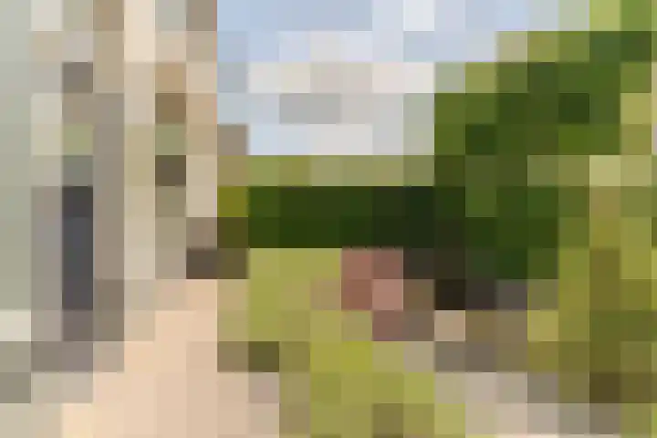 Langeweg 9 De Heen thumbnail 53