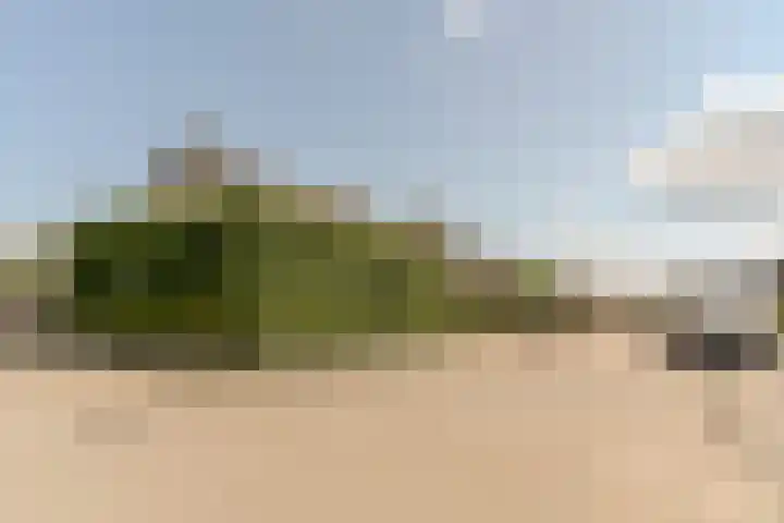 Langeweg 9 De Heen thumbnail 55
