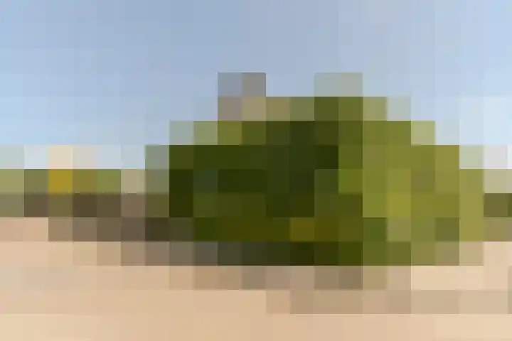 Langeweg 9 De Heen thumbnail 56