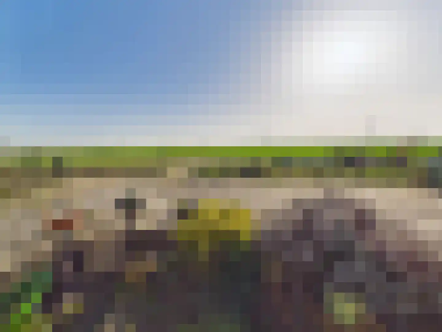 Langeweg 9 Sint Philipsland thumbnail 5