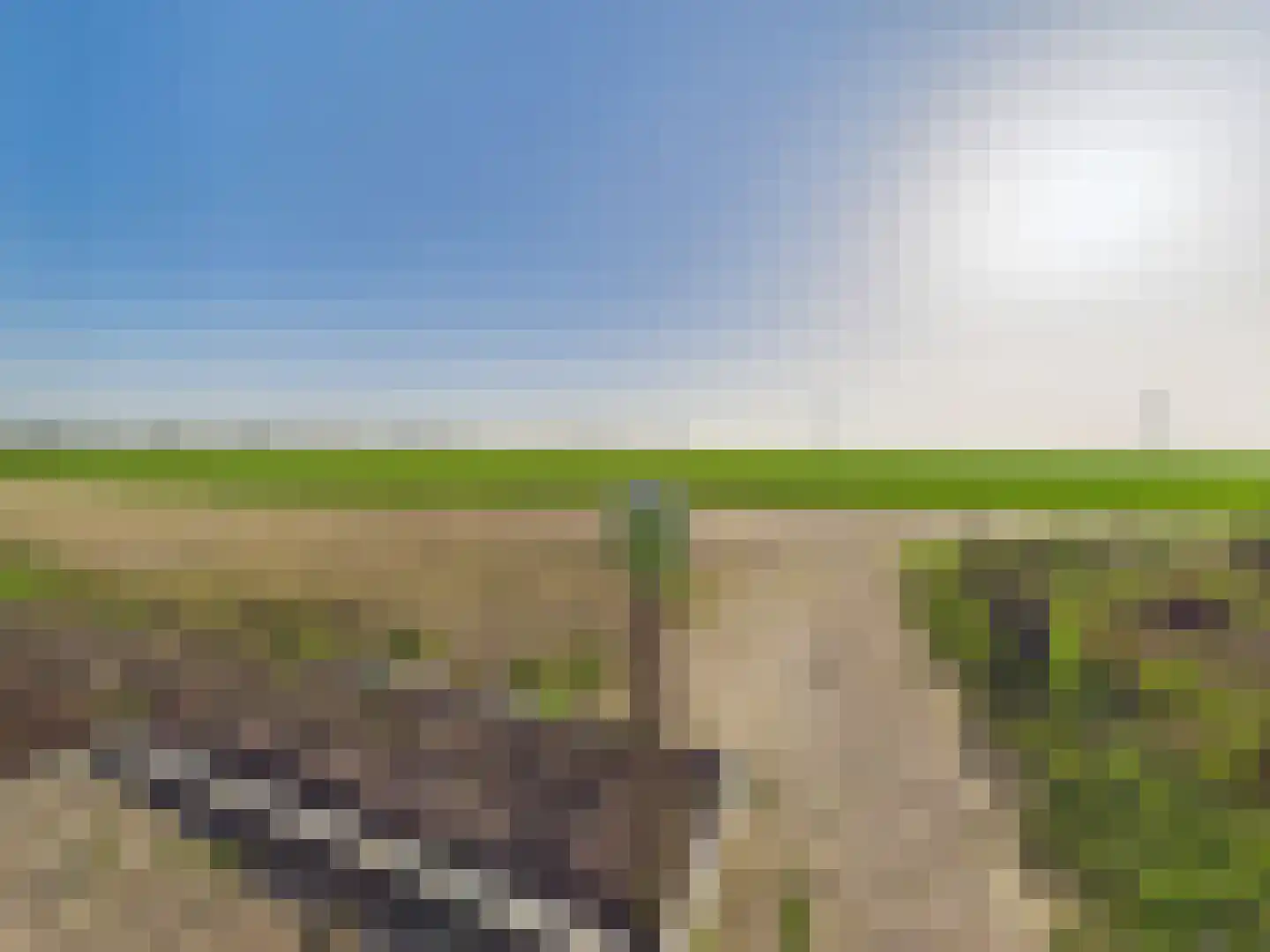Langeweg 9 Sint Philipsland thumbnail 61