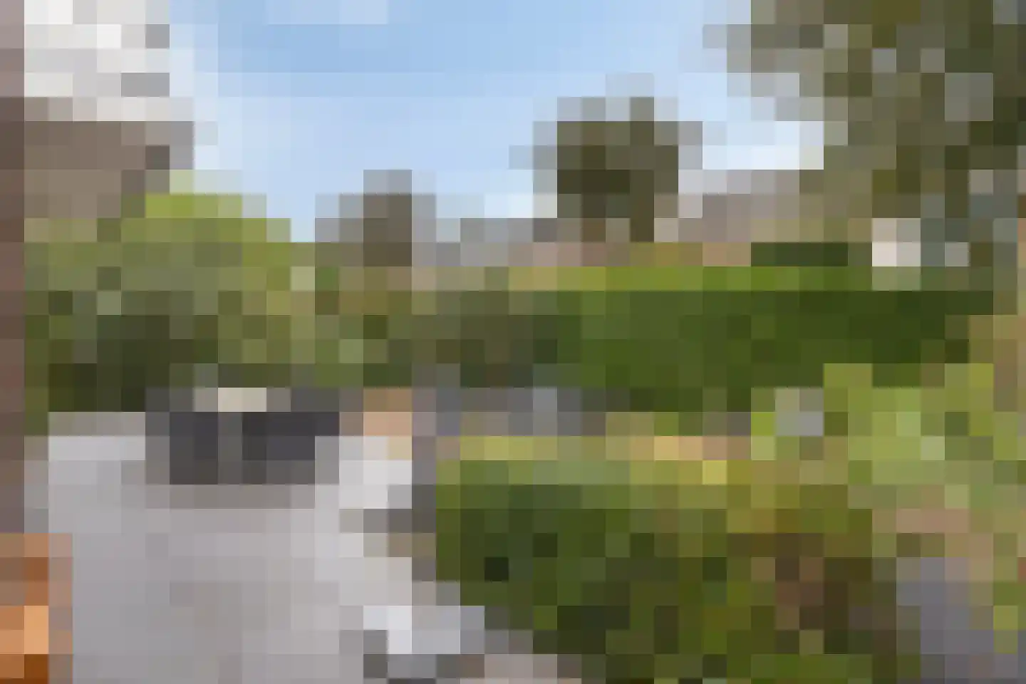 Langeweg 90 Roelofarendsveen thumbnail 29