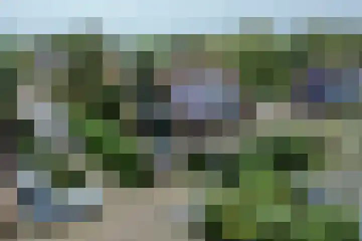 Langeweid 11 Koedijk