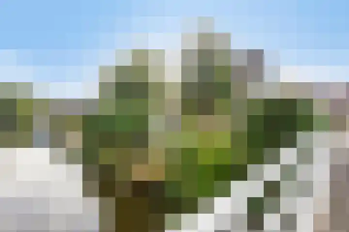 Langeweid 11 Koedijk thumbnail 4