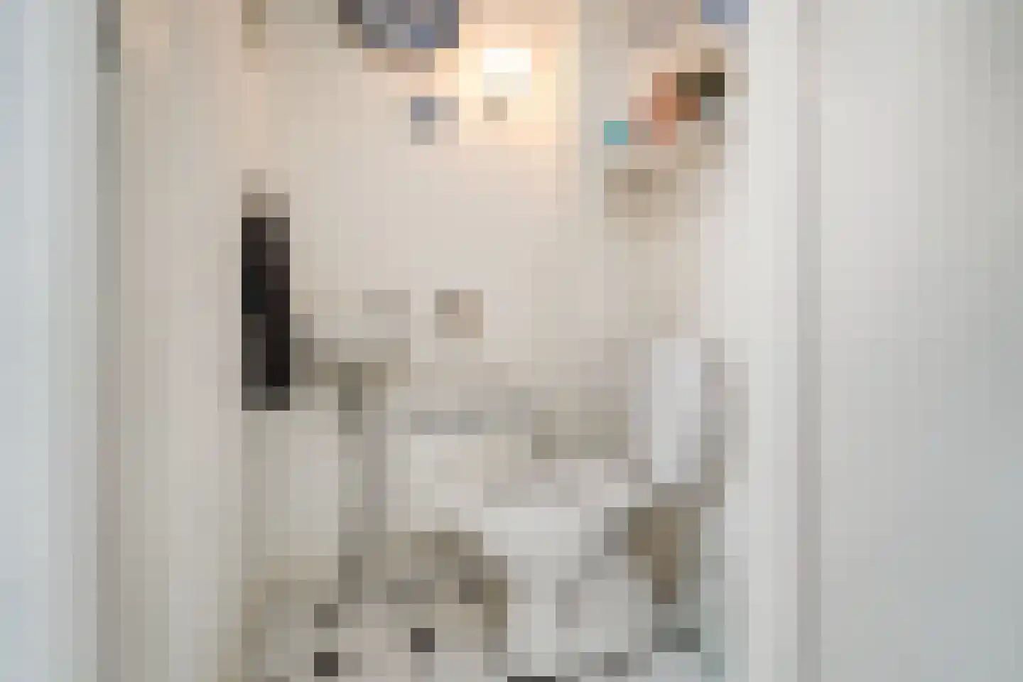 Langeweid 19 Koedijk thumbnail 11