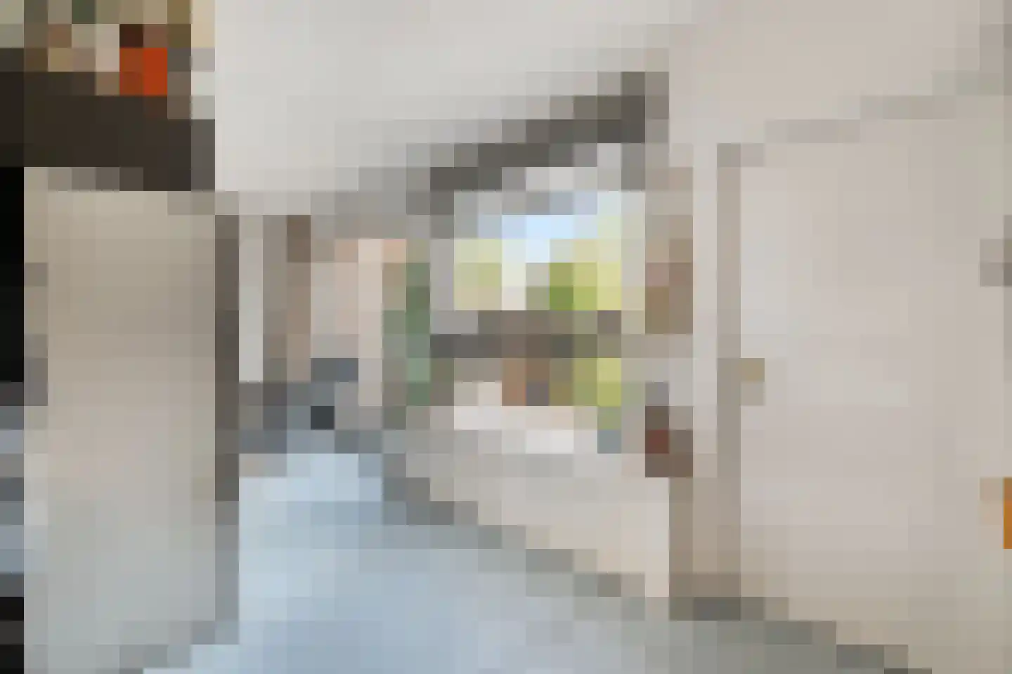 Langeweid 19 Koedijk thumbnail 20