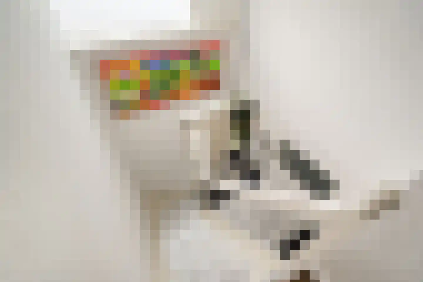 Langeweid 19 Koedijk thumbnail 33