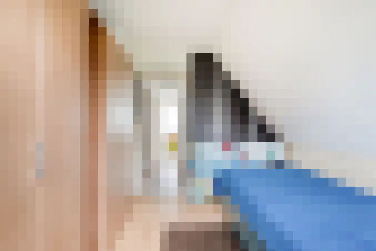 Langeweid 19 Koedijk thumbnail 35