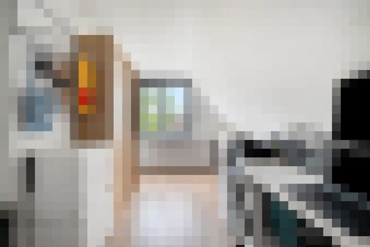 Langeweid 19 Koedijk thumbnail 38