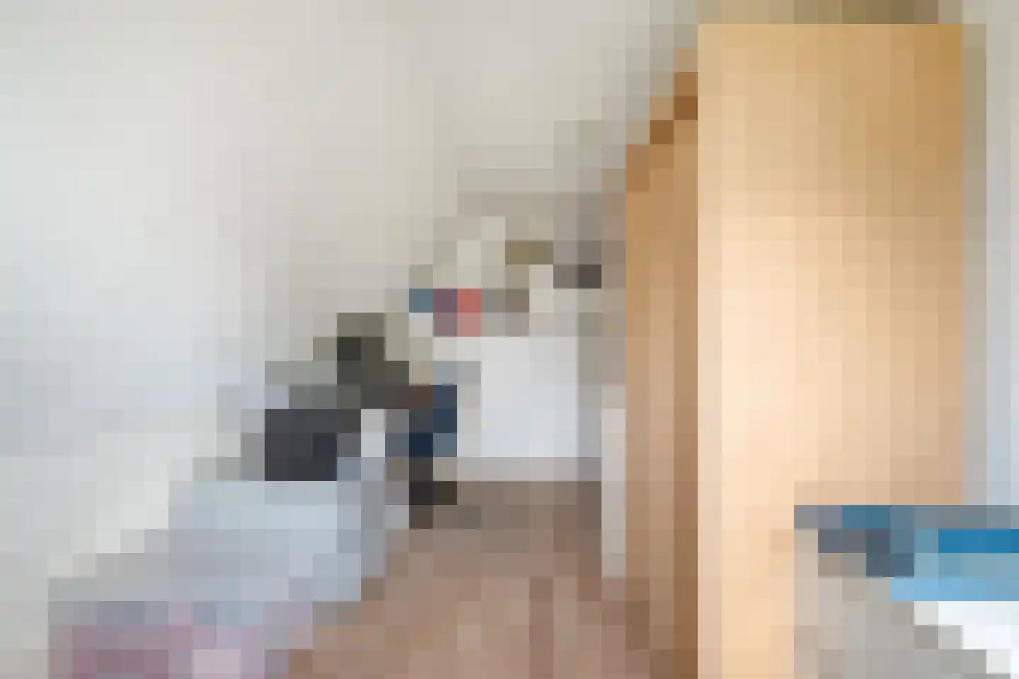 Langeweid 19 Koedijk thumbnail 39