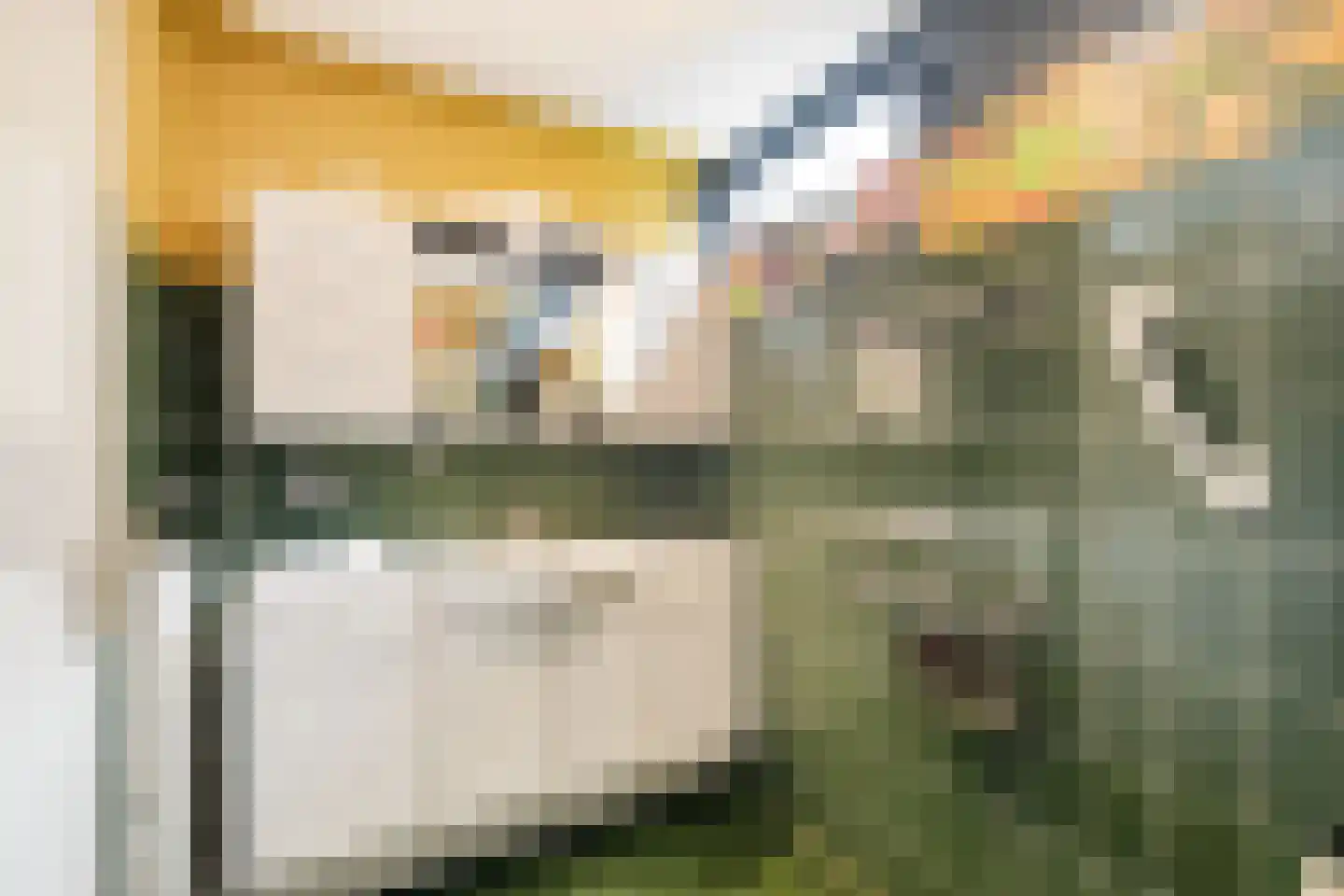 Langeweid 19 Koedijk thumbnail 41