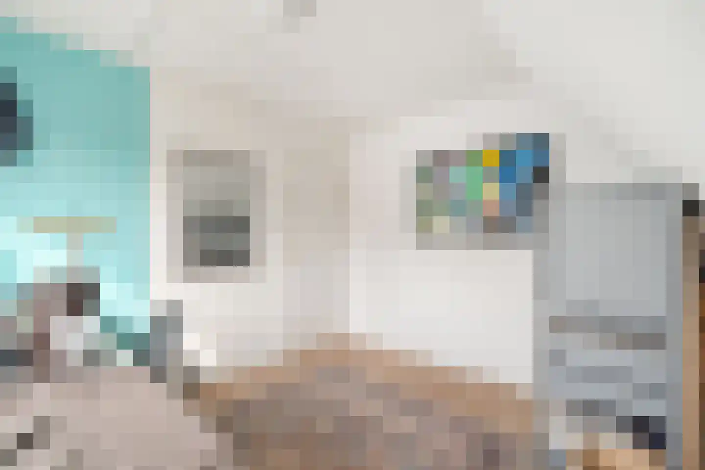 Langeweid 19 Koedijk thumbnail 43