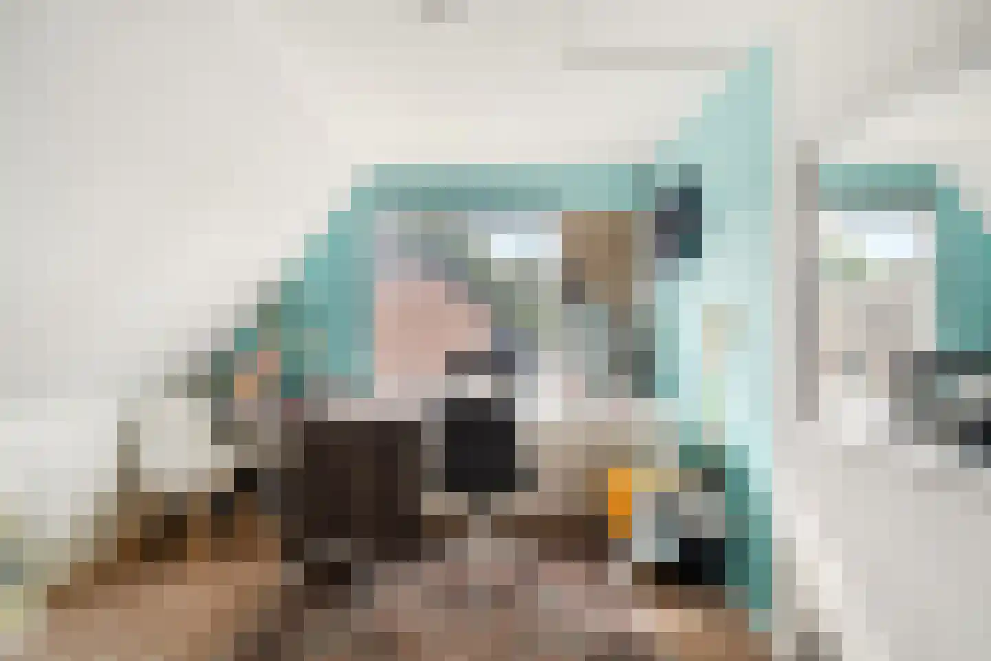 Langeweid 19 Koedijk thumbnail 44
